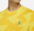 Фото #5 товара Футболка мужская Jordan Printed Poolside желтая