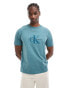 Фото #1 товара Calvin Klein Jeans chenille monologo t-shirt in turquoise