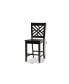 Caron Modern and Contemporary Transitional 2-Piece Finished Wood Counter Stool Set