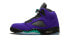 Кроссовки Nike Air Jordan 5 Retro Alternate Grape (Синий, Фиолетовый)