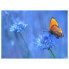 Фото #2 товара Скатерть с бабочками tischsetmacher Schmetterling I (12 штук)
