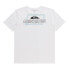 QUIKSILVER Line By Line short sleeve T-shirt