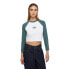 ფოტო #2 პროდუქტის DICKIES Sodaville long sleeve T-shirt