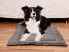 Mimikoko MIMIKO Pets Mata Velvet 100x70cm grafit