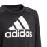 Фото #4 товара ADIDAS Designed To Move Big Logo sweatshirt