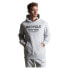 SUPERDRY Studios Rcycl City hoodie