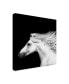 Фото #2 товара PH Burchett Black and White Horses V Canvas Art - 20" x 25"