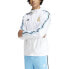 Фото #1 товара Ветровка Adidas Argentina DNA Windbreaker 23/24 - Футбольная