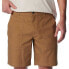 Фото #4 товара COLUMBIA Flex Roc™ Extended Shorts