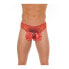 Фото #1 товара Briefs Dog Red One Size