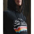 Фото #4 товара SUPERDRY Vintage Logo Over hoodie