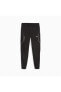 Фото #1 товара Bmw Mms Sweat Pants, Reg/cc Erkek Eşofman Altı