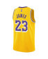Фото #3 товара Футболка Nike LeBron James Lakers