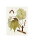 Фото #1 товара Unknown Maple Leaves II Canvas Art - 15" x 20"