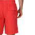 REGATTA Hotham IV Swimming Shorts