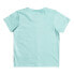 Фото #2 товара QUIKSILVER Dirty Paws short sleeve T-shirt