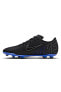 Фото #12 товара Mercurial Vapor 15 Club Fg/mg Erkek Siyah Futbol Krampon Dj5963-040