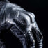 ფოტო #3 პროდუქტის FIVE RFX WP gloves