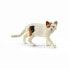 Фото #3 товара Schleich Farm Life American Shorthair Cat - 3 yr(s) - Boy/Girl - Multicolour - Plastic