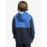 Quiksilver Knowledge Area hoodie