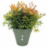 Фото #5 товара Горшок для цветов elho Plant pot 50 cm Plastic