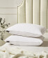 Softy-Around White Feather & Down Cotton 2-Pack Pillow, Standard/Queen