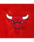 Фото #2 товара Свитшот The Wild Collective мужской и женский Красная куртка-бомбер с металлической застежкой Chicago Bulls