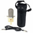 Микрофон Golden Age Audio Project R1 MK2