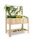 Фото #1 товара Raised Garden Bed Elevated Wooden Planter Box with Trellis & Open Storage Shelf