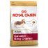 Фото #2 товара ROYAL CANIN Cavalier King Charles Adult 1.5kg Dog Food