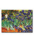 Фото #1 товара Vincent van Gogh 'Irises at Saint-Remy' Canvas Art - 32" x 24"