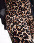 Topshop Petite leopard print legging in brown