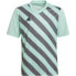 Фото #2 товара T-shirt adidas Entrada 22 Graphic Jersey Jr HF0127