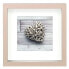 Фото #1 товара HAMA Scala 3D 23x23 cm Portrait Wood Passepartout Photo photo frame