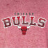 Фото #3 товара Свитшот Chicago Bulls Ombre Arch