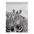Фото #2 товара Klemmfix-Rollo Zebra