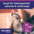 Entspannungsspray "Classic", Transportspray für Katzen, 60 ml