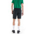 Фото #5 товара BERGHAUS Theran Shorts