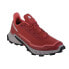Фото #1 товара Salomon Alphacross 5 W running shoes 473136