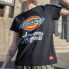 Dickies LogoT DK007386CC2 T-Shirt