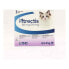 Anti-parasites Ceva Strectis Pipettes Cat