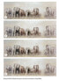 Фото #10 товара Acrylbild handgemalt Weg der Elefanten