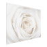 Фото #4 товара Bild Pretty White Rose II