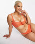 Фото #4 товара Ivory Rose Curve zig zag lace balconette bra in deep orange