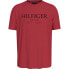 ფოტო #1 პროდუქტის TOMMY HILFIGER Big short sleeve T-shirt