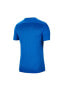 Dri-fit Park Vii Erkek Futbol Forması Mavi