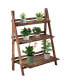 Фото #1 товара 3 Tier Ladder-style Wooden Flower Plant Stand Outdoor Garden Shelf