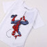 CERDA GROUP Spiderman short sleeve T-shirt