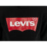 LEVI´S ® KIDS Batwing Screenprint hoodie