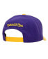 ფოტო #3 პროდუქტის Men's Purple, Gold Denver Nuggets Soul XL Logo Pro Crown Snapback Hat